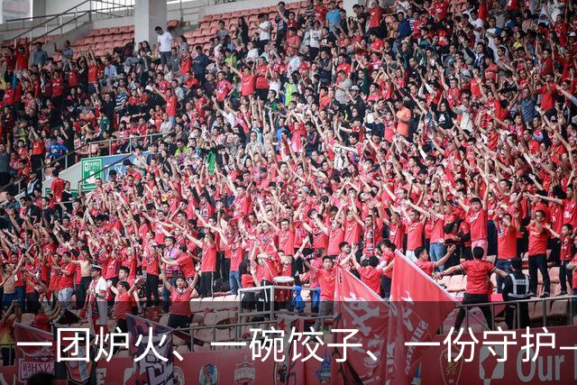 一团炉火、一碗饺子、一份守护——巴青震中见闻