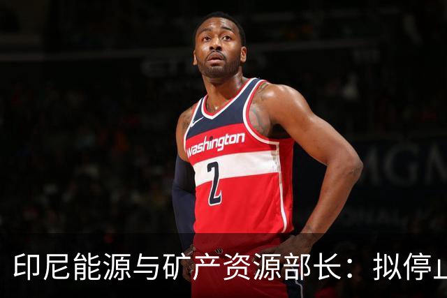 印尼能源与矿产资源部长：拟停止向不尊重印尼的国家供能