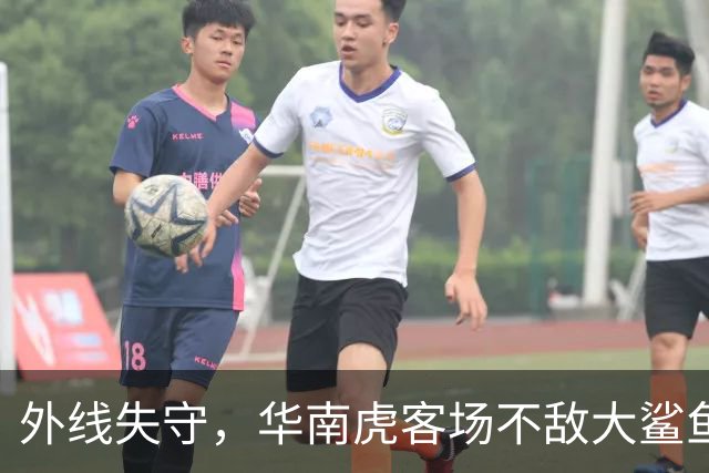 外线失守，华南虎客场不敌大鲨鱼