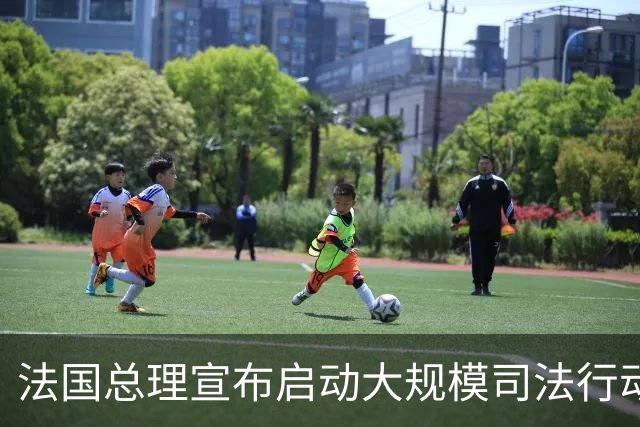 法国总理宣布启动大规模司法行动 多地将实施局部宵禁