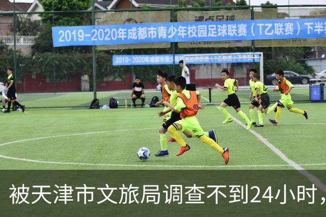 被天津市文旅局调查不到24小时，64岁杨议再迎噩耗！